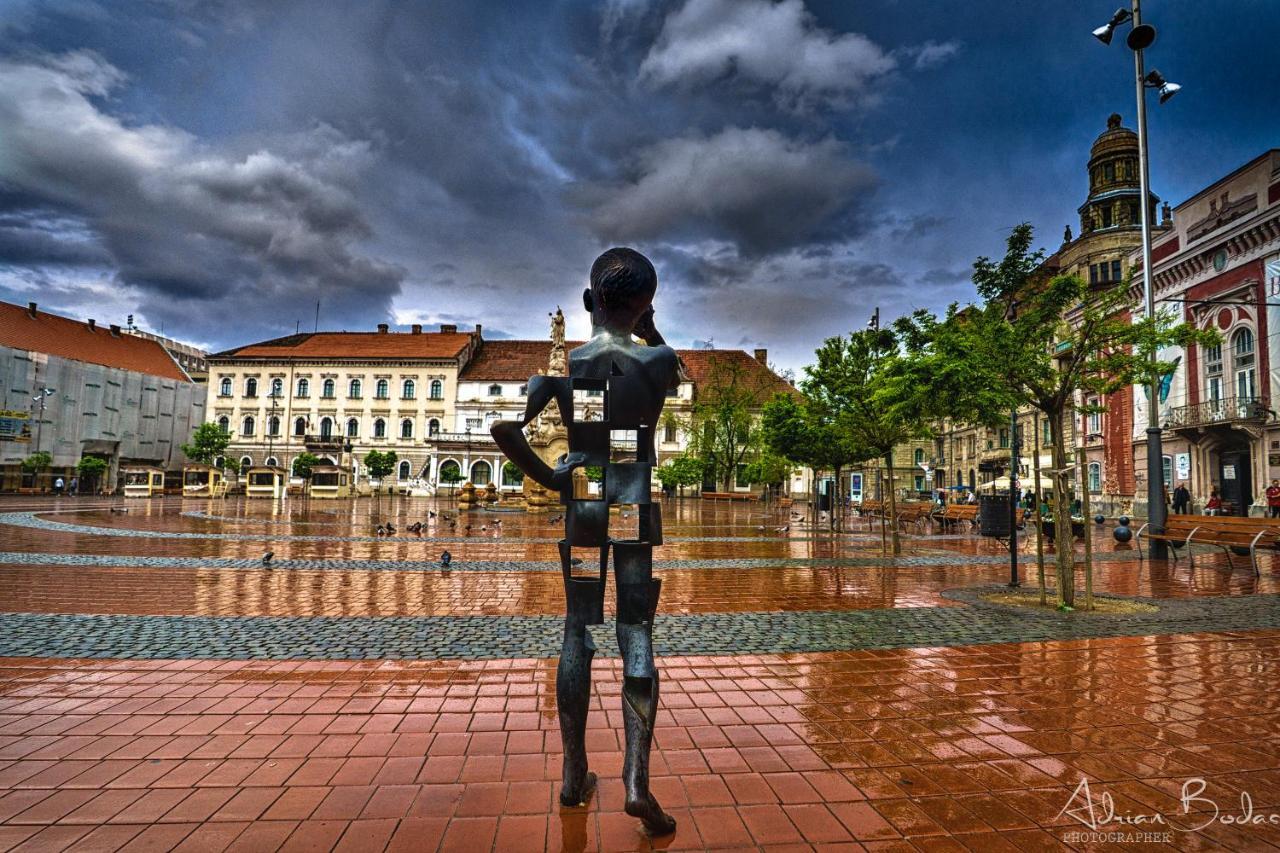 Take Pro Timisoara Apartment Экстерьер фото
